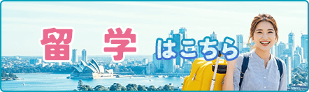 留学はこちら