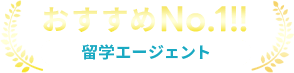 おすすめNo.1!